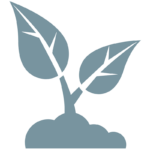 plant icon
